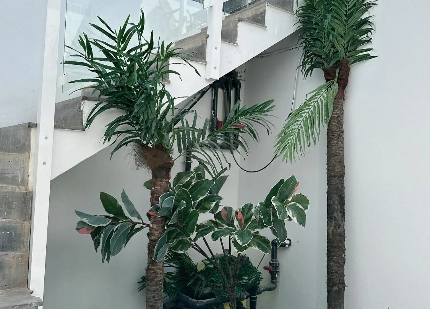Apartamento Villa Johnny Playa Blanca  España